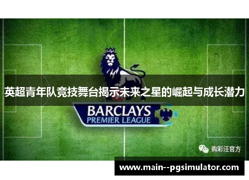 英超青年队竞技舞台揭示未来之星的崛起与成长潜力