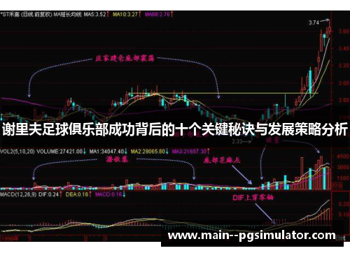 谢里夫足球俱乐部成功背后的十个关键秘诀与发展策略分析