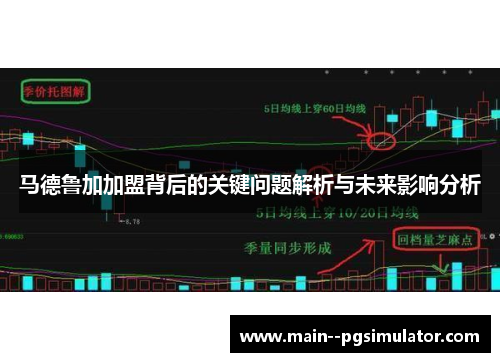 马德鲁加加盟背后的关键问题解析与未来影响分析