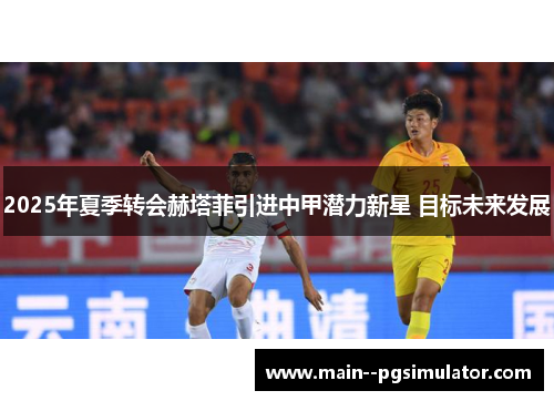2025年夏季转会赫塔菲引进中甲潜力新星 目标未来发展 2025年夏季转会赫塔菲引进中甲潜力新星 目标未来发展